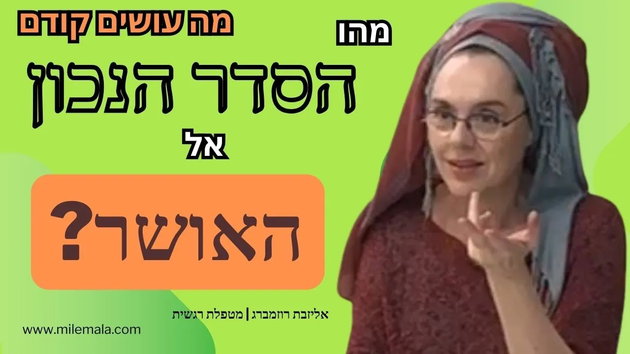 מטפלת רגשית אליזבת רוזמברג 