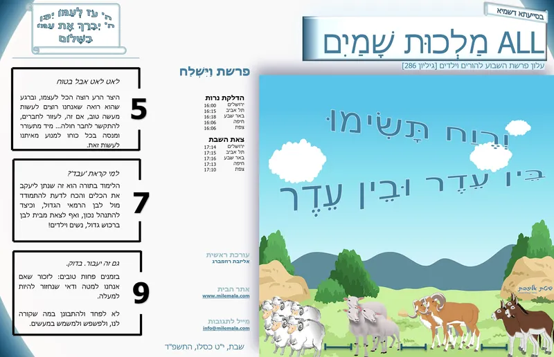 ש8_לא הבנו כלום? | אליזבת רוזמברג